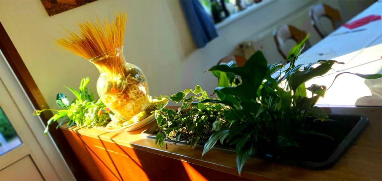 Gasthaus Zum Seestern Hotel Ravensbruck Ngoại thất bức ảnh